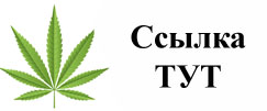 Купить наркотики в Обнинске